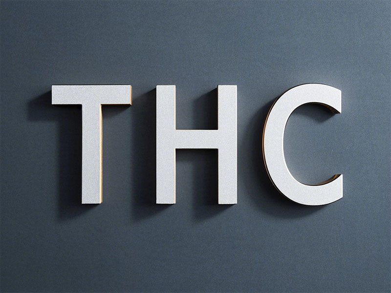 thc海运是什么费用