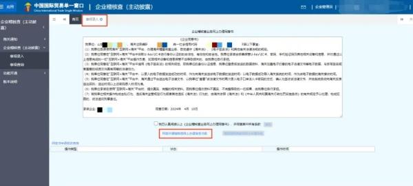 主动披露申报方式有哪些？